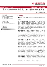 碳中和系列报告：十四五污染防治目标出台，深化降污减碳发展趋势