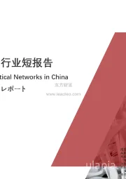 2021年中国全光网行业短报告