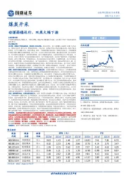 煤炭开采行业周报：动煤弱稳运行，双焦大幅下挫