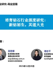 培育钻石行业深度研究:新钻初生,其道大光