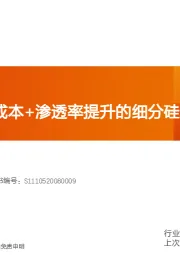 电气设备：颗粒硅：低成本+渗透率提升的细分硅料赛道