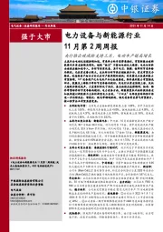 电力设备与新能源行业11月第2周周报：央行推出碳减排支持工具，电动车产销高增长