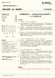 电商行业深度研究：10月社零点评：社零稳重有升，大促重点布局品类高景气