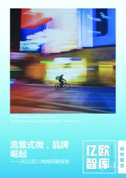 2021双11电商洞察报告：流量式微，品牌崛起