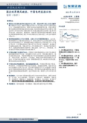 计算机应用行业研究：国企改革乘风破浪，中国电科直挂云帆