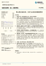 电商行业研究：黑五需求端向好，RCEP生效利好跨境贸易