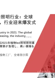 中国2021年led植物照明行业：全球植物照明需求高增，行业迎来爆发式增长