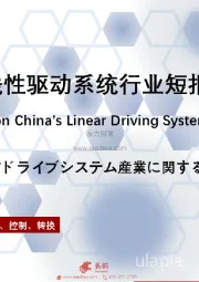 2021年中国线性驱动系统行业短报告