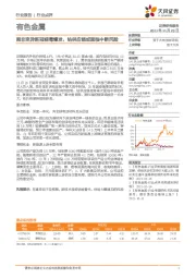 有色金属：南非变异新冠病毒爆发，钴供应链或面临中断风险