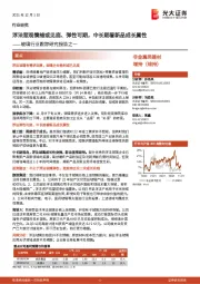 玻璃行业跟踪研究报告之一:浮法悲观情绪或见底、弹性可期,中长期看新品成长属性