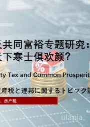 2021年中国房产税及共同富裕专题研究：安得广厦千万间，大庇天下寒士俱欢颜？