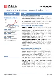 金属非金属新材料行业深度报告：迎新能源东风量价齐升，锂电铜箔登峰造“极”