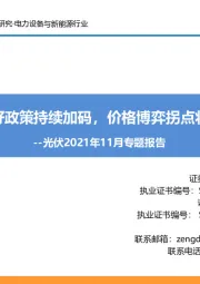 光伏2021年11月专题报告：利好政策持续加码，价格博弈拐点将现