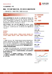碳中和行业(电新+环保)周报:隆基、中环大幅下调硅片价格,第二批风光大基地开始申报