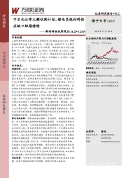 新材料板块周观点：中石化公布大额收购计划，锂电负极材料供应缺口短期持续