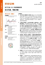 电子行业2022年度策略报告：自主为基，智能为戟