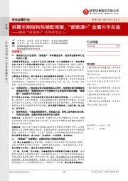 有色金属行业拥抱“新能源+”系列研究之八:供需长期结构性错配难解,“新能源+”金属牛市在途