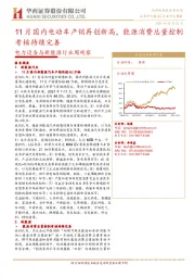 电力设备与新能源行业周观察:11月国内电动车产销再创新高,能源消费总量控制考核持续完善