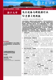 电力设备与新能源行业12月第2周周报：中央经济工作会议定调双碳工作