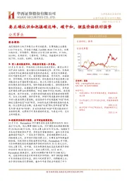 公用事业行业研究周报：要正确认识和把握碳达峰、碳中和，锂盐价格依旧强势