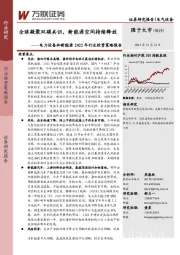 电力设备和新能源2022年行业投资策略报告：全球凝聚双碳共识，新能源空间持续释放