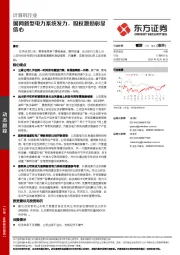 计算机行业：国网新型电力系统发力，股权激励彰显信心