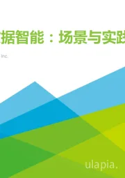 拥抱数据智能：场景与实践白皮书