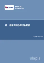 镍：锂电高镍孕育行业新机