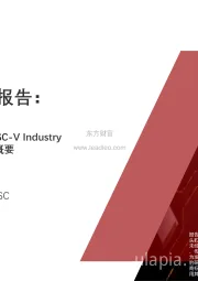 2021年中国半导体系列报告：RISC-V行业概览