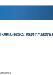 驱动电机行业深度报告:电动化扁线化持续渗透,扁线电机产业链有望迎来拐点