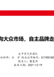 汽车团队2021年策略：新能源车驶向大众市场，自主品牌走向全球竞争