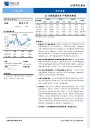 有色金属行业点评：11月新能源汽车产销再创新高