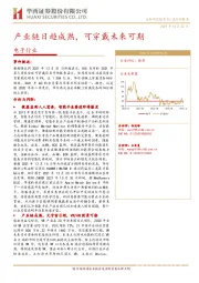 电子行业：产业链日趋成熟，可穿戴未来可期