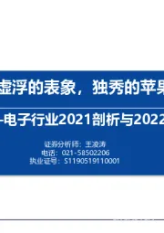 电子行业2021剖析与2022展望：虚浮的表象，独秀的苹果