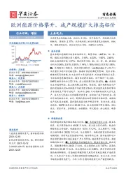 有色金属行业周报：欧洲能源价格攀升，减产规模扩大推高铝价