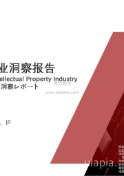 2021年中国知识产权行业洞察报告