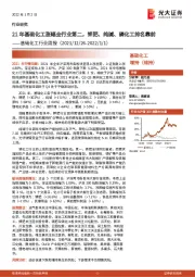 基础化工行业周报：21年基础化工涨幅全行业第二，钾肥、纯碱、磷化工排名靠前