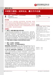 医药生物行业专题报告：中药配方颗粒：结束试点，量价齐升在望