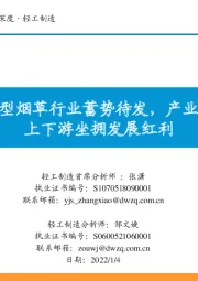 轻工制造行业深度：新型烟草行业蓄势待发，产业链上下游坐拥发展红利