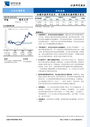 风电设备行业定期策略：双碳加速风电成长，关注格局及盈利能力变化