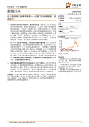 能源开采行业专题研究：动力煤框架之供需平衡表——双碳下的供需错配、波动放大