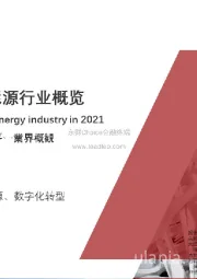 2021年中国数字能源行业概览
