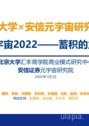 元宇宙2022——蓄积的力量