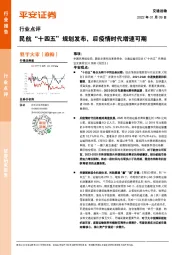交通运输行业点评:民航“十四五”规划发布,后疫情时代增速可期