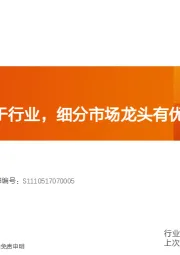 电子：下游应用重于行业，细分市场龙头有优势