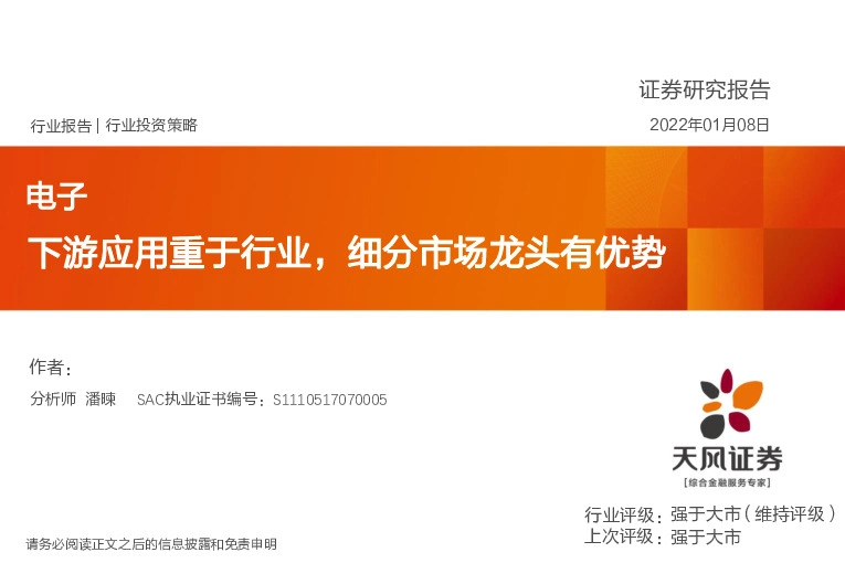 电子：下游应用重于行业，细分市场龙头有优势