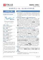 战略科技（计算机）：老树新芽又一春，关注老公司新机遇