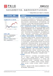 新能源锂电池系列报告之年度策略：电动化浪潮势不可挡，把握供需紧张环节与利润分配