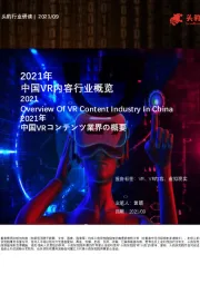 2021年中国VR内容行业概览