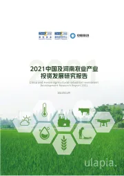 2021中国及河南农业产业投资发展研究报告